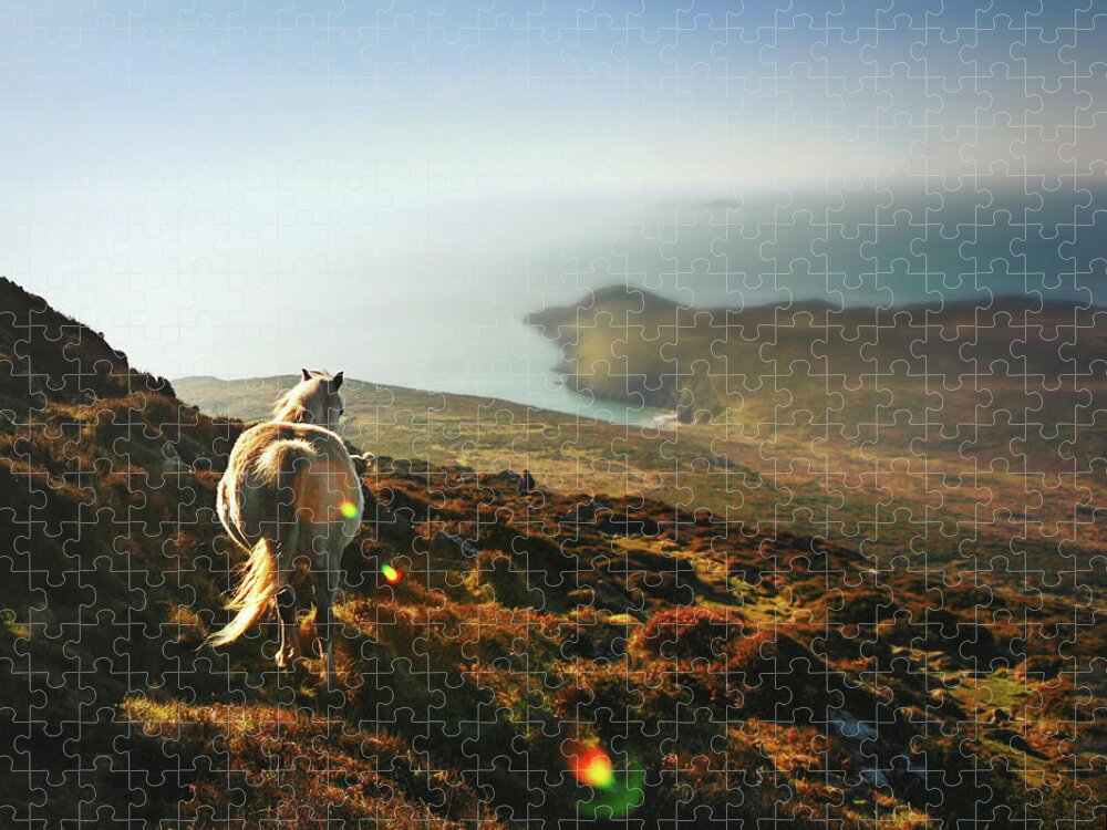 Scenics Jigsaw Puzzle featuring the photograph White Horse On Mountain Top At Sunset by Nicole Kucera