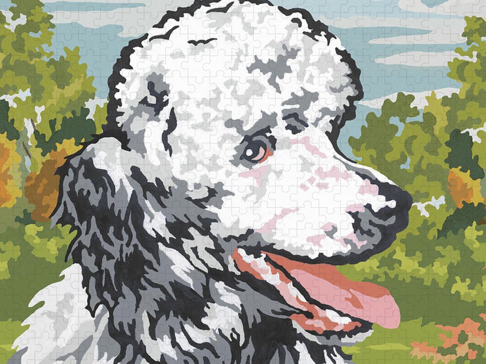 Animal Jigsaw Puzzle featuring the drawing White Poodle by CSA Images