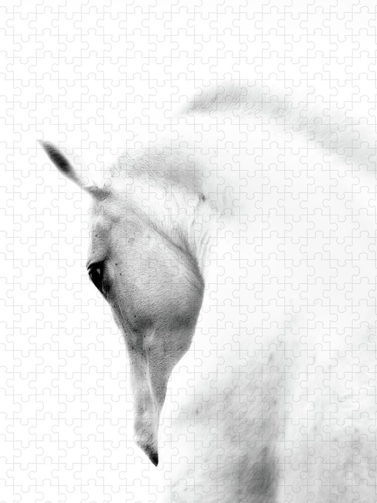 Horse Puzzle featuring the photograph White Stallion Andalusian Horse Neck by 66north