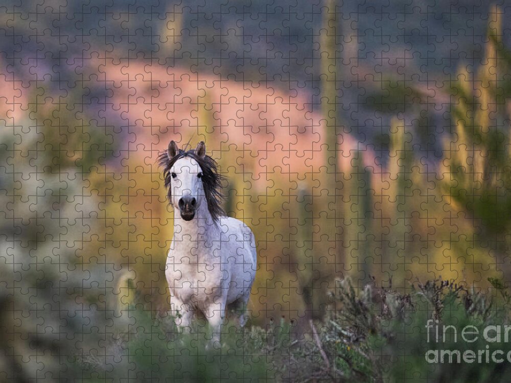 Stallion Jigsaw Puzzle featuring the photograph White Stallion by Shannon Hastings