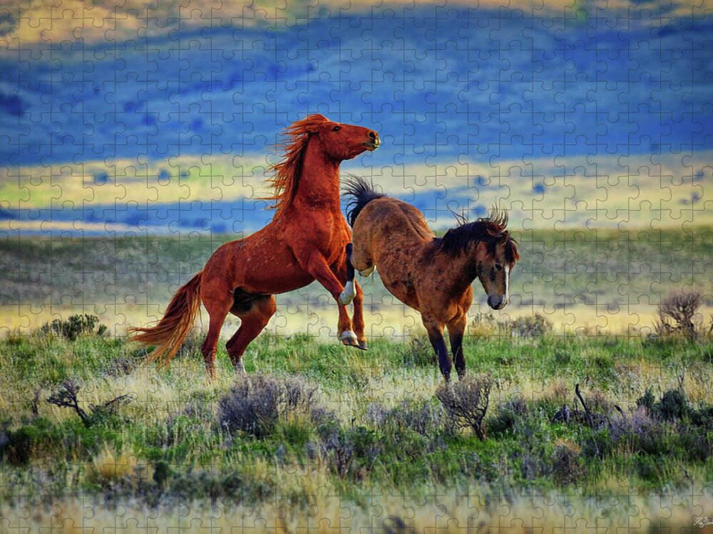 Wild Horses Jigsaw Puzzle featuring the photograph Wild Equine Play Time by Greg Norrell