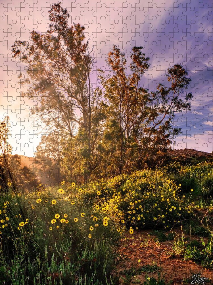 Chatsworth Jigsaw Puzzle featuring the photograph Wildflower Sunset by Endre Balogh