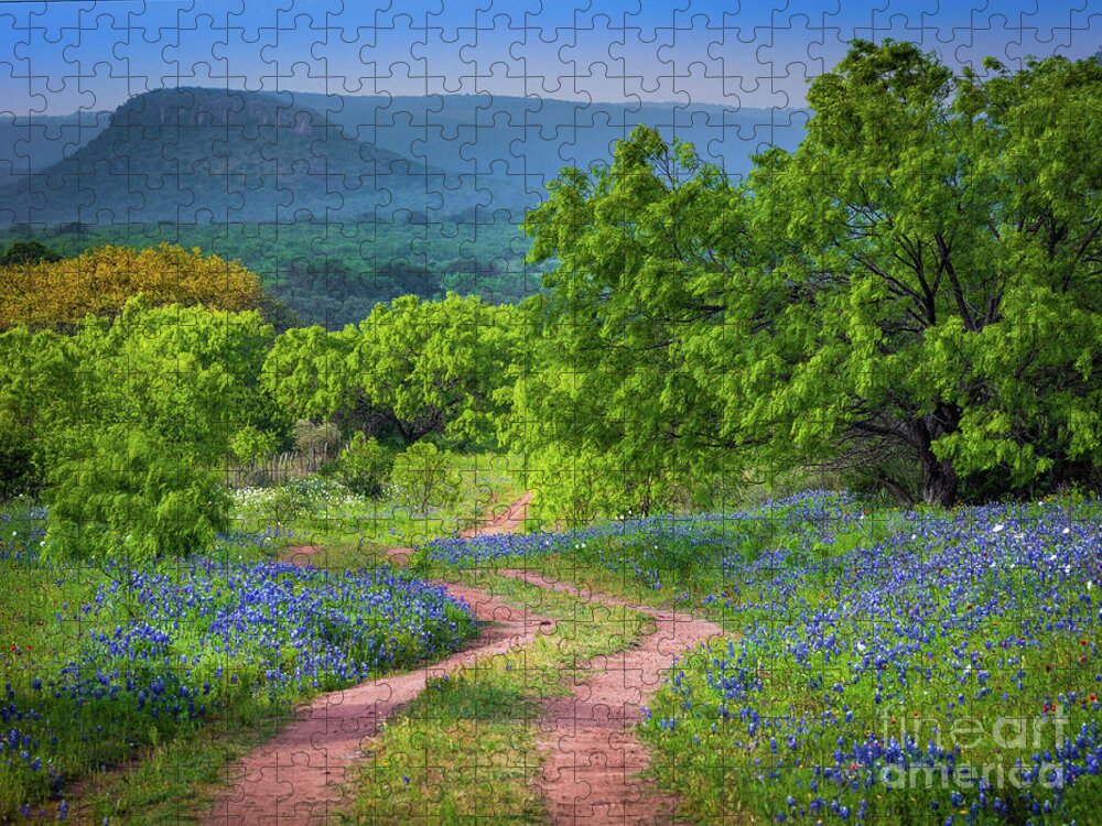 America Jigsaw Puzzle featuring the photograph Willow City Road 4/3 by Inge Johnsson