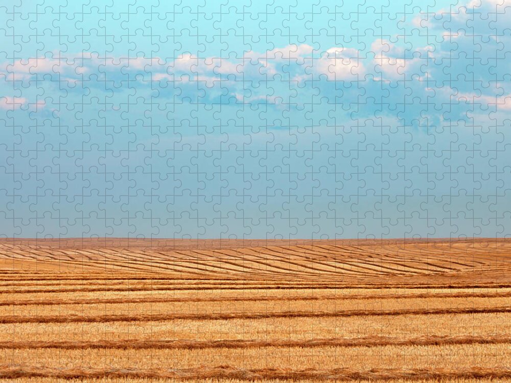 Windrows Jigsaw Puzzle featuring the photograph Windy Rows by Todd Klassy