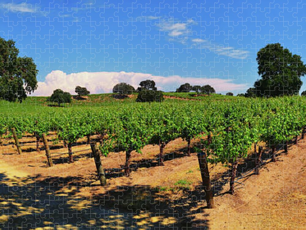 Wine Country Jigsaw Puzzle featuring the photograph Wine Country Panorama by Greg Norrell