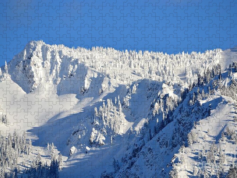 Snow Jigsaw Puzzle featuring the photograph Winter by Dorrene BrownButterfield