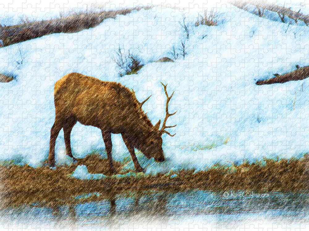 Elk Jigsaw Puzzle featuring the photograph Winter Elk by River by Kae Cheatham
