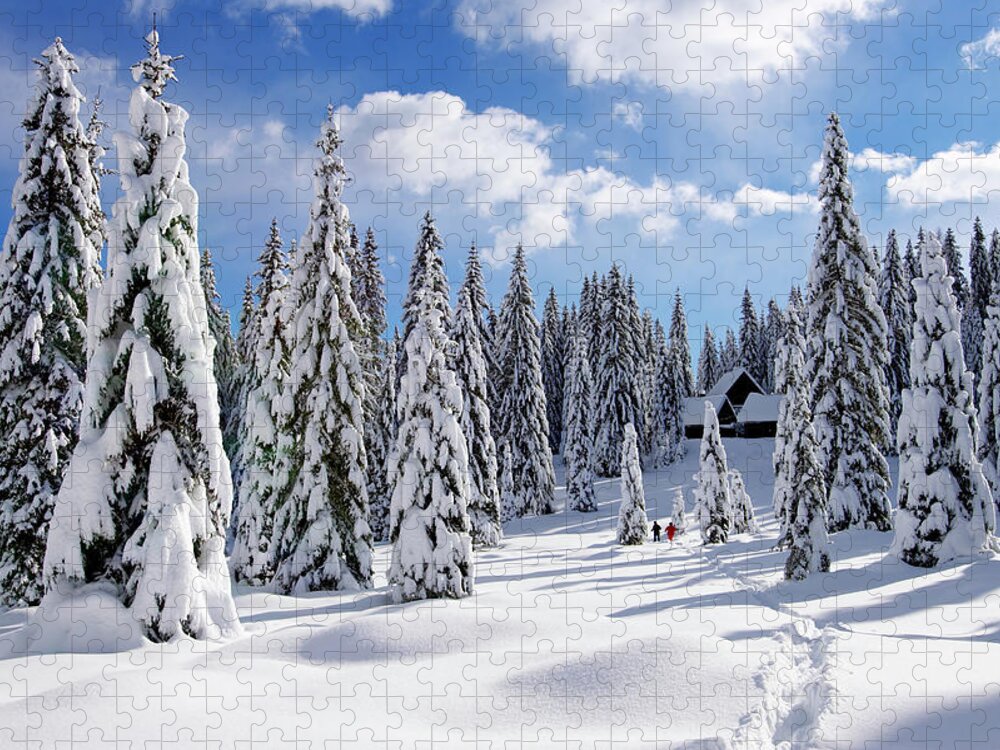 Cool Attitude Jigsaw Puzzle featuring the photograph Winter Landscape by Mistikas