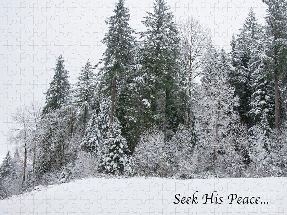 Religious Jigsaw Puzzle featuring the digital art Winter Peace by Kirt Tisdale