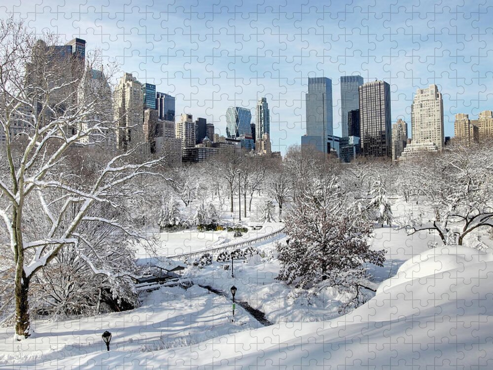Snow Jigsaw Puzzle featuring the photograph Winter Wonderland In Central Park by Denistangneyjr
