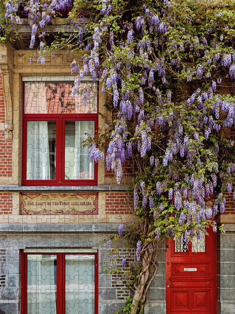 Ghent Jigsaw Puzzle featuring the photograph Wisteria in Ghent by Melanie Alexandra Price