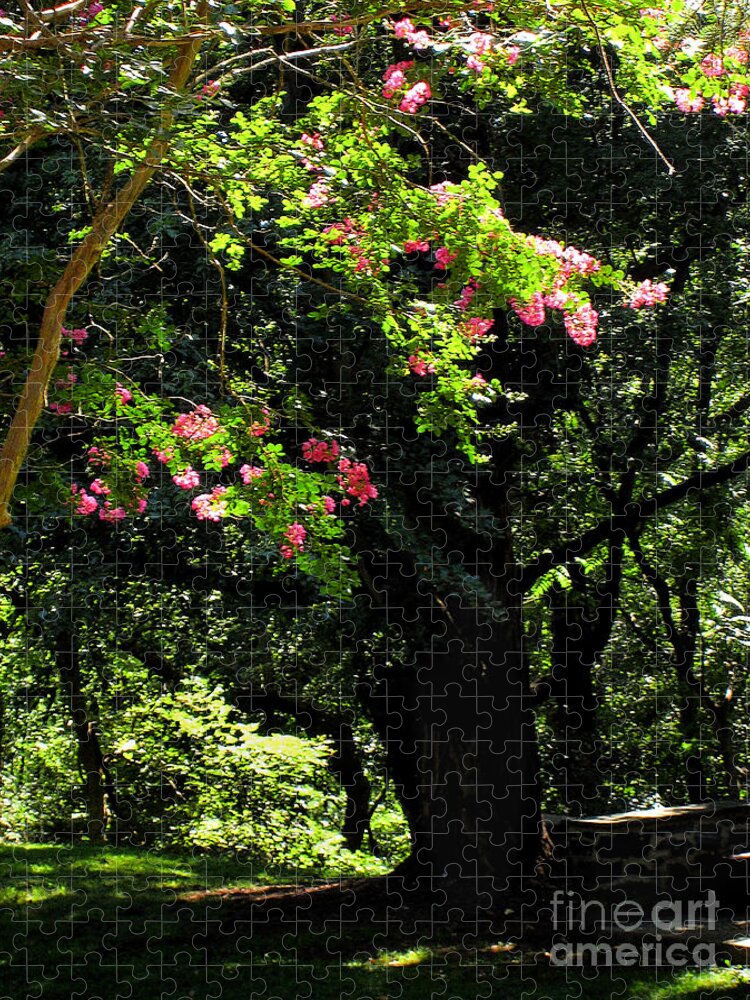 Summer Jigsaw Puzzle featuring the photograph Woodland Serenity No.2 by Steve Ember