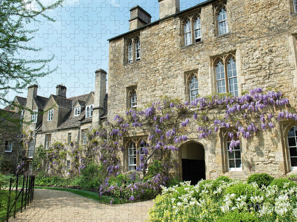 Japanese Jigsaw Puzzle featuring the photograph Worcester College Wisteria Oxford by Tim Gainey