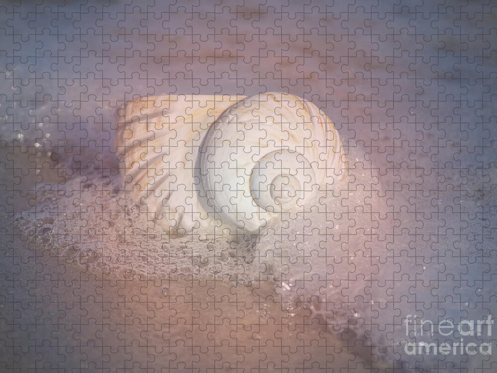 Shells Jigsaw Puzzle featuring the photograph Worn By The Sea by Kathy Baccari