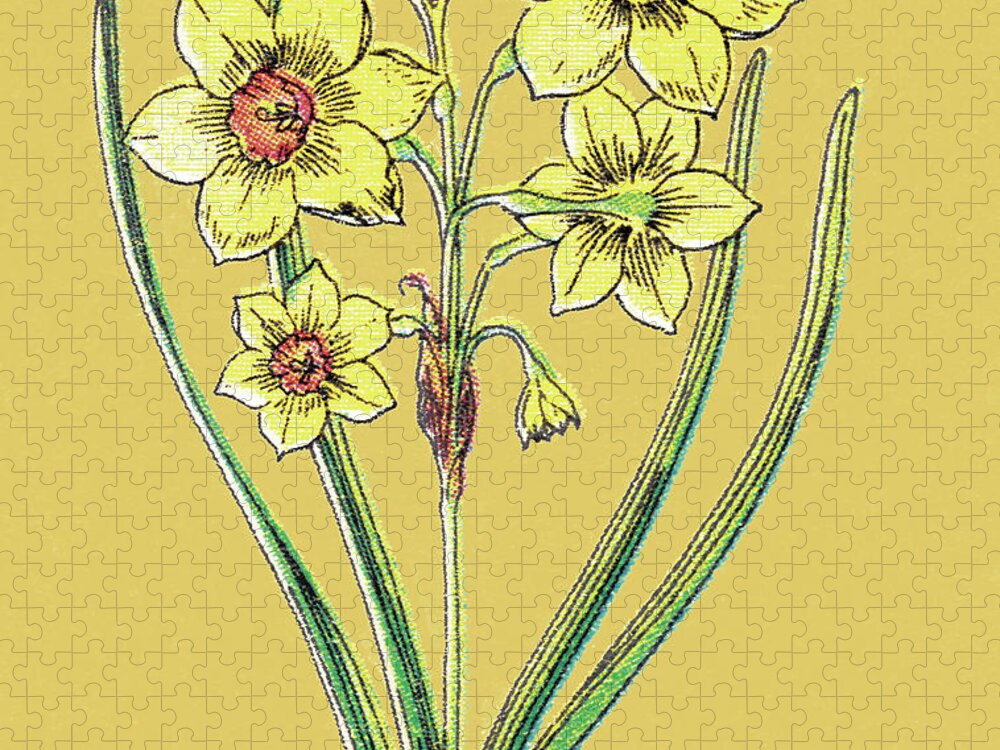 Bloom Jigsaw Puzzle featuring the drawing Yellow Flowers by CSA Images