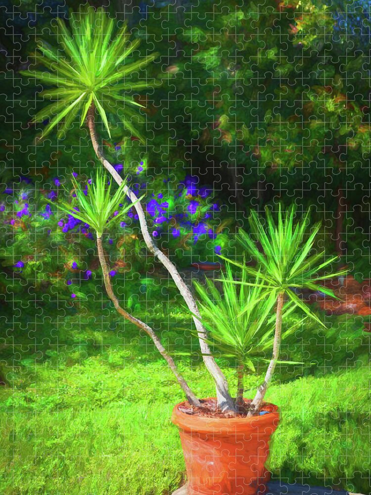 Yucca Plant Spanish Bayonet Jigsaw Puzzle featuring the photograph Yucca Spanish Bayonet Dagger Plant 100 by Rich Franco