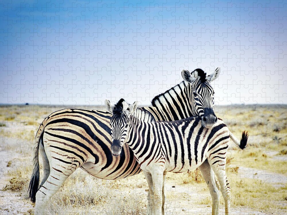Horse Jigsaw Puzzle featuring the photograph Zebra Mother And Her Foal In Etosha by Brytta