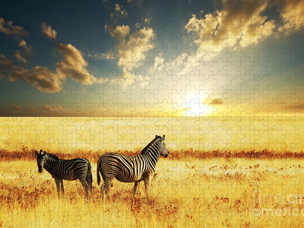 Zebra Puzzle featuring the photograph Zebras At Sunset by Galyna Andrushko