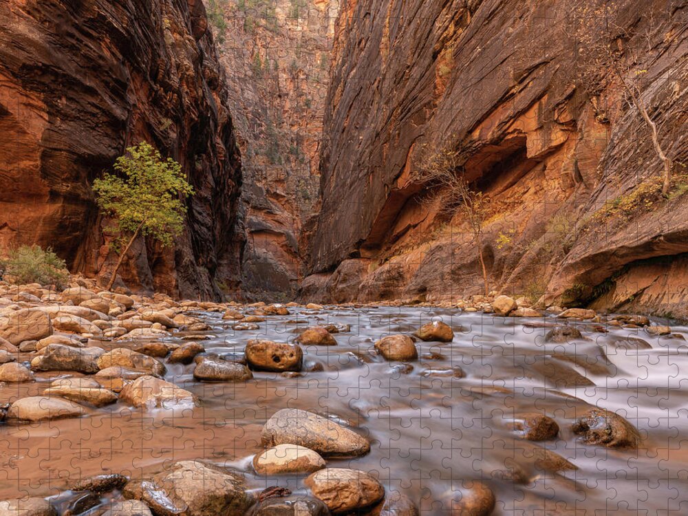 Zion Jigsaw Puzzle featuring the photograph Zion Canyon by Arthur Oleary