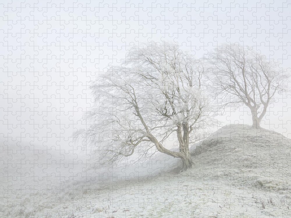 Winter Jigsaw Puzzle featuring the photograph Sentinels by Anita Nicholson