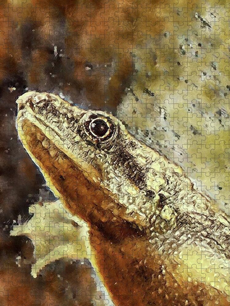 African Dwarf Frog Jigsaw Puzzle featuring the photograph African Dwarf Frog #1 by Ally White