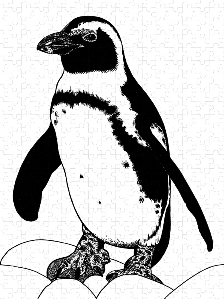 Penguin Jigsaw Puzzle featuring the drawing African penguin ink illustration #1 by Loren Dowding
