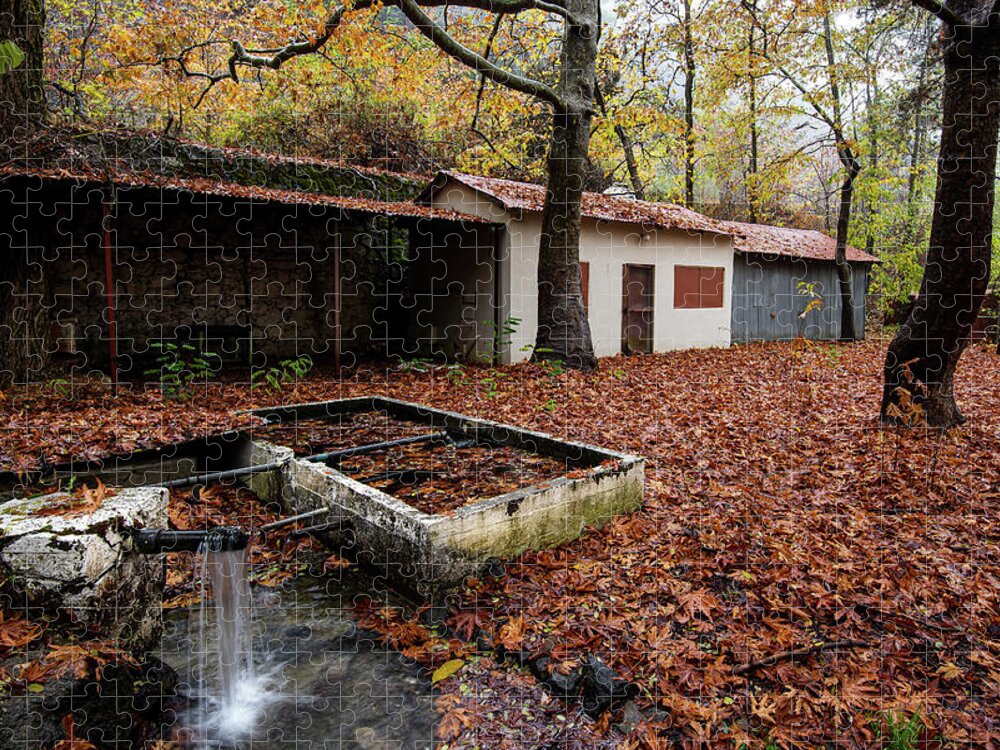 Autumn Jigsaw Puzzle featuring the photograph Autumn Landscape #1 by Michalakis Ppalis