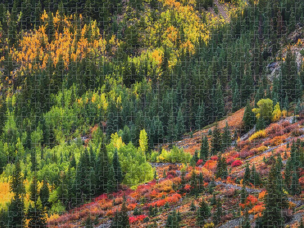 Fall Jigsaw Puzzle featuring the photograph Autumn's Color Palette #1 by Darren White