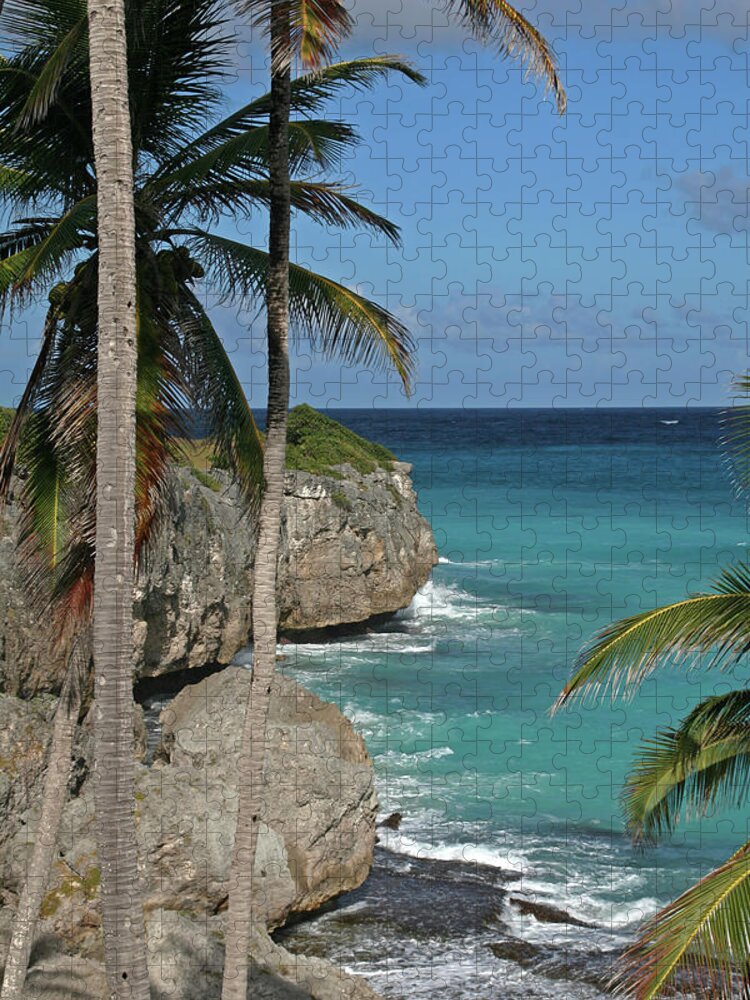 Barbados Jigsaw Puzzle featuring the photograph Barbados #1 by Richard Krebs