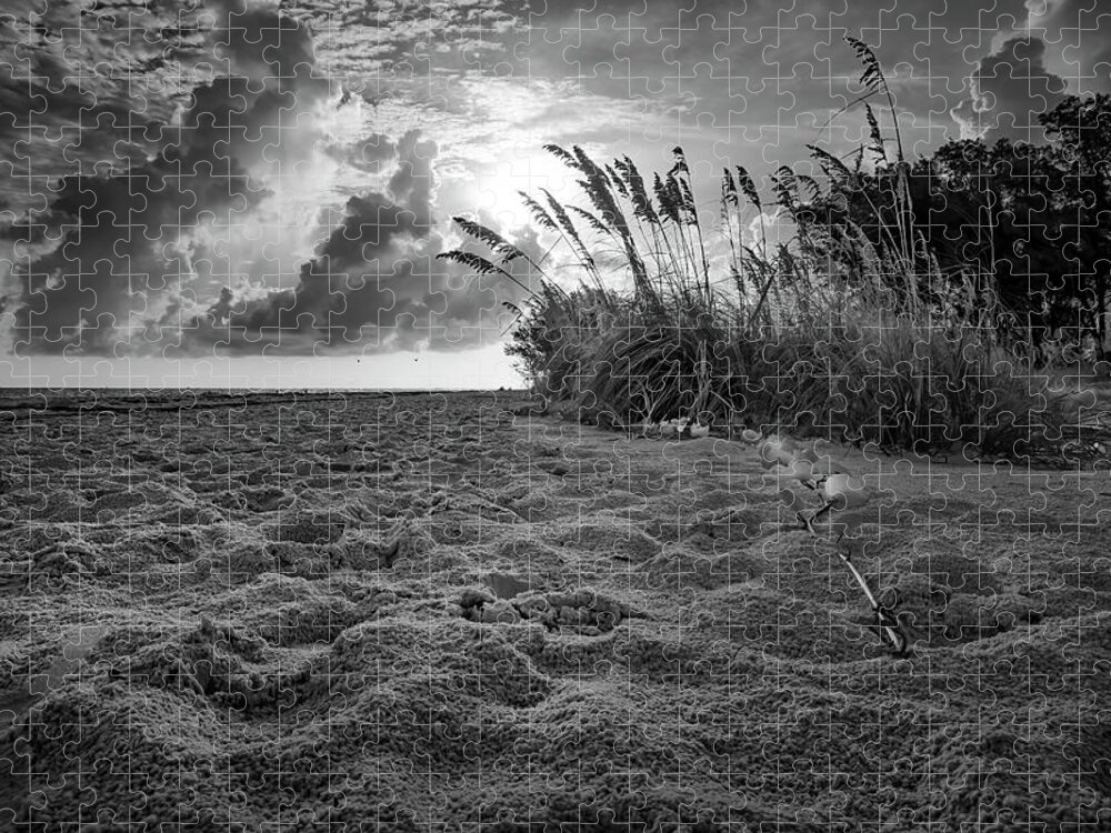 Anna Maria Island Jigsaw Puzzle featuring the photograph Bean Point Morning 3 #1 by ARTtography by David Bruce Kawchak