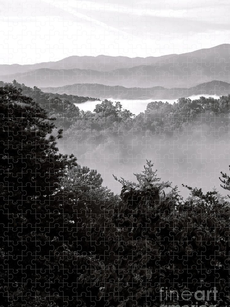 Tennessee Jigsaw Puzzle featuring the photograph Black And White Landscape #1 by Phil Perkins
