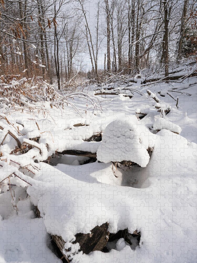 Barrhaven Jigsaw Puzzle featuring the photograph Creekbed in winter. #2 by Rob Huntley