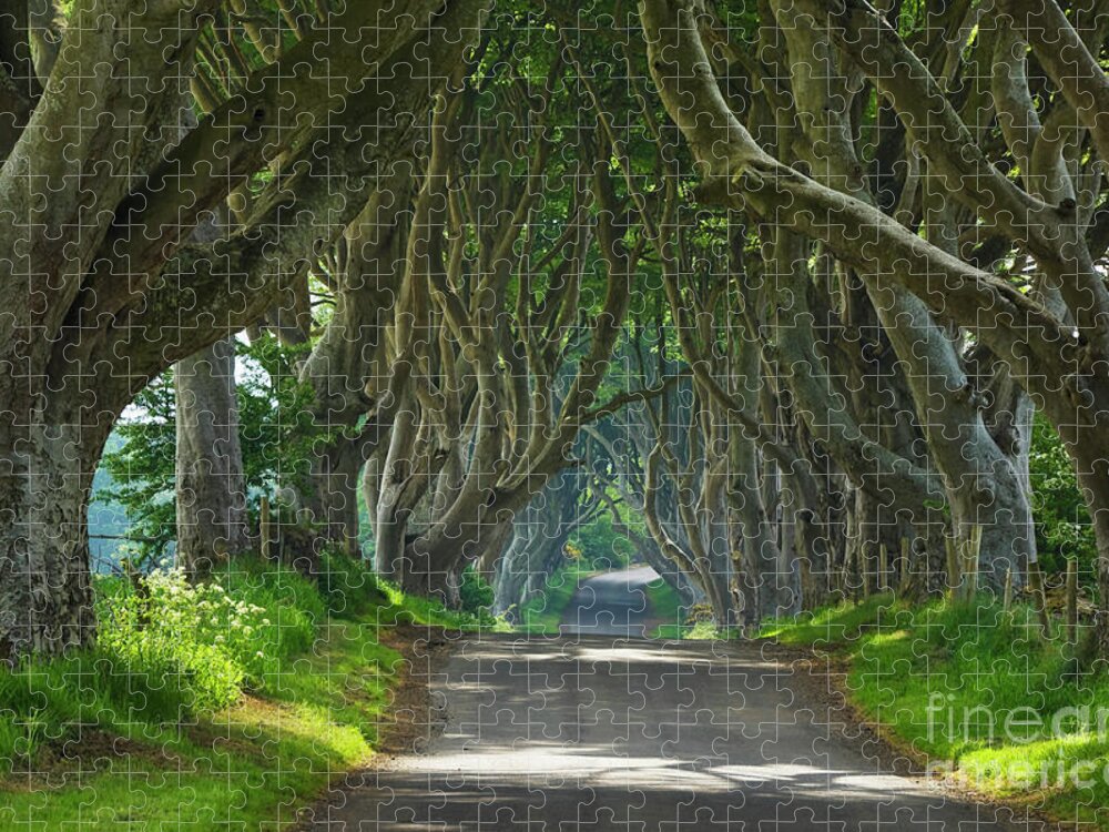 Dark Hedges Jigsaw Puzzle featuring the photograph Dark Hedges, County Antrim, Northern Ireland #2 by Neale And Judith Clark