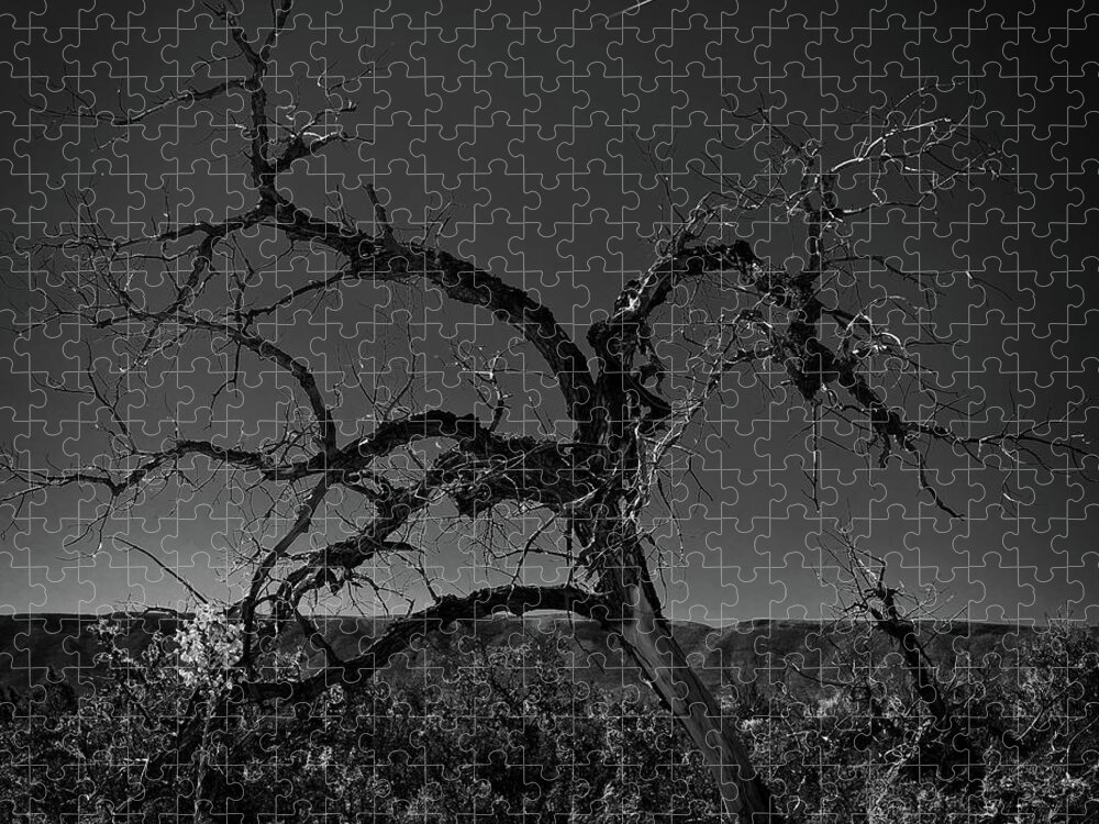 Tree Jigsaw Puzzle featuring the photograph Desert Floor #1 by George Taylor