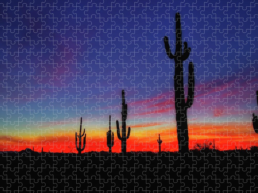 Desert Jigsaw Puzzle featuring the photograph Desert Sunset by Bob Falcone