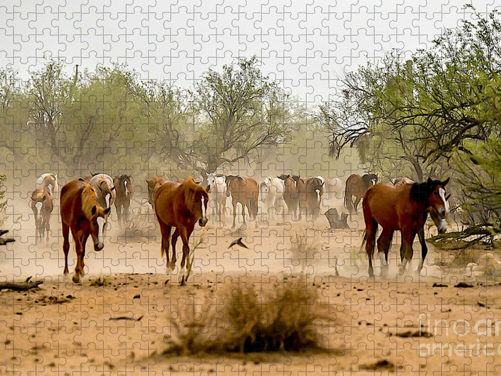 Salt River Wild Horses Jigsaw Puzzle featuring the digital art Dust Storm Rollin In #2 by Tammy Keyes
