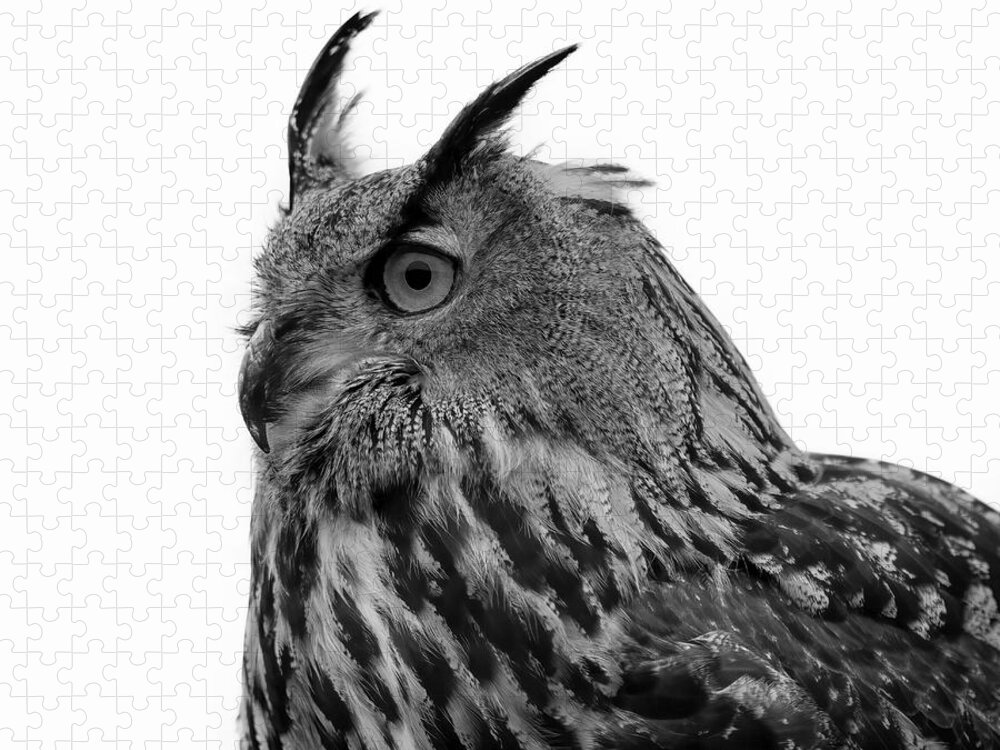  Jigsaw Puzzle featuring the pyrography Eagle Owl Black And White #1 by Marjolein Van Middelkoop