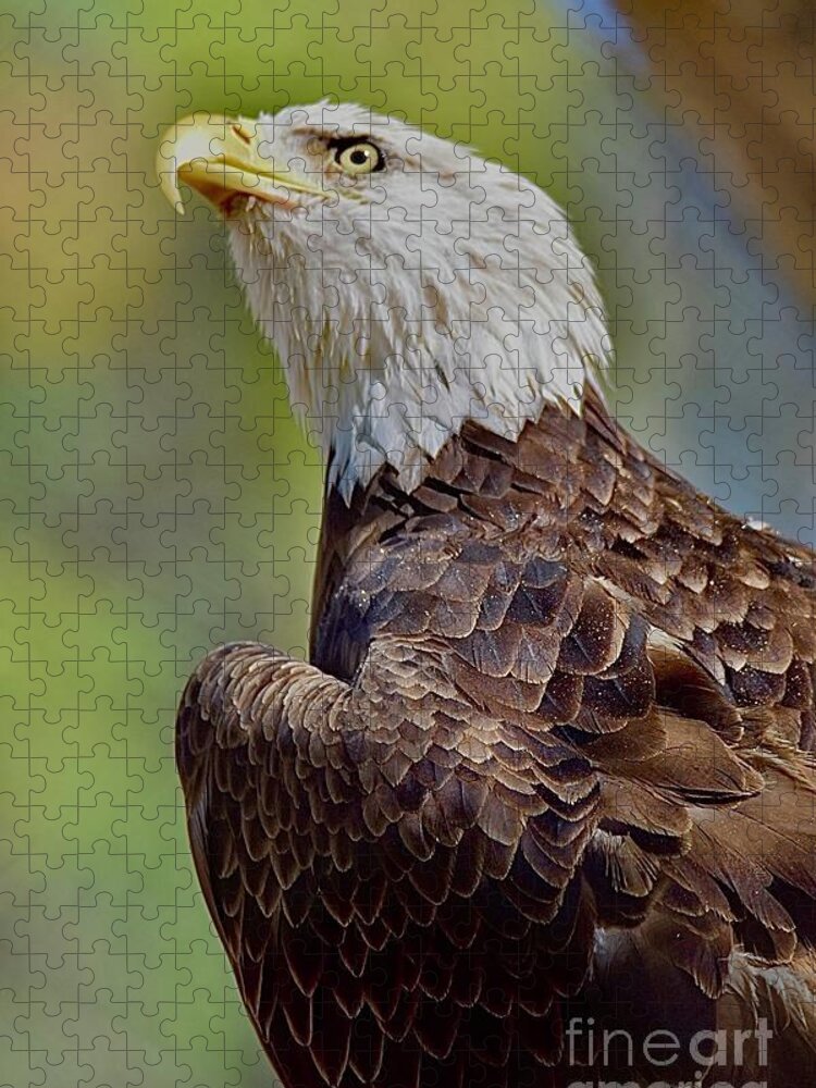 Eagle Jigsaw Puzzle featuring the digital art Eagle #1 by Tammy Keyes