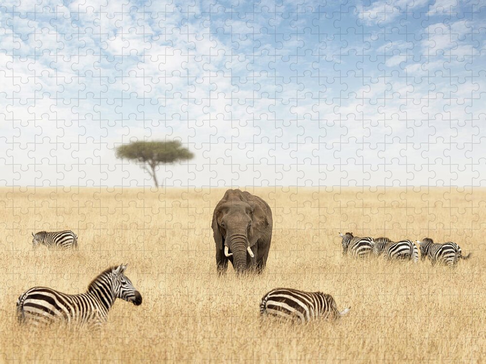 Elephant Jigsaw Puzzle featuring the photograph Elephants and zebras in the grasslands of the Masai Mara #1 by Jane Rix
