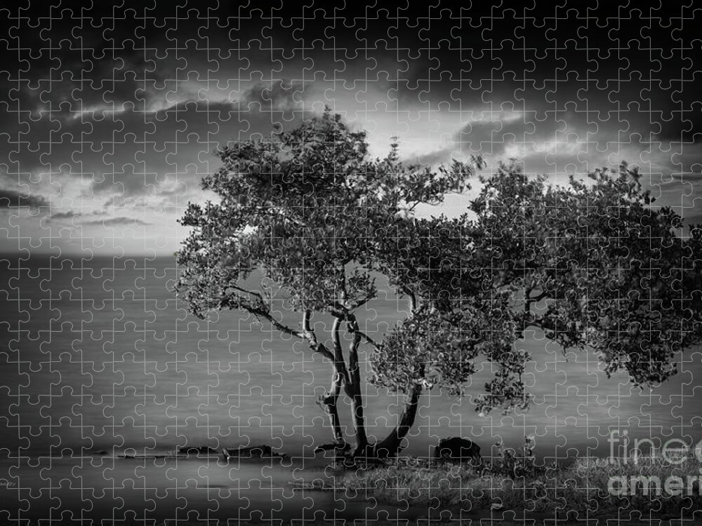 Nature Jigsaw Puzzle featuring the photograph Facing The Storm #2 by Marvin Spates