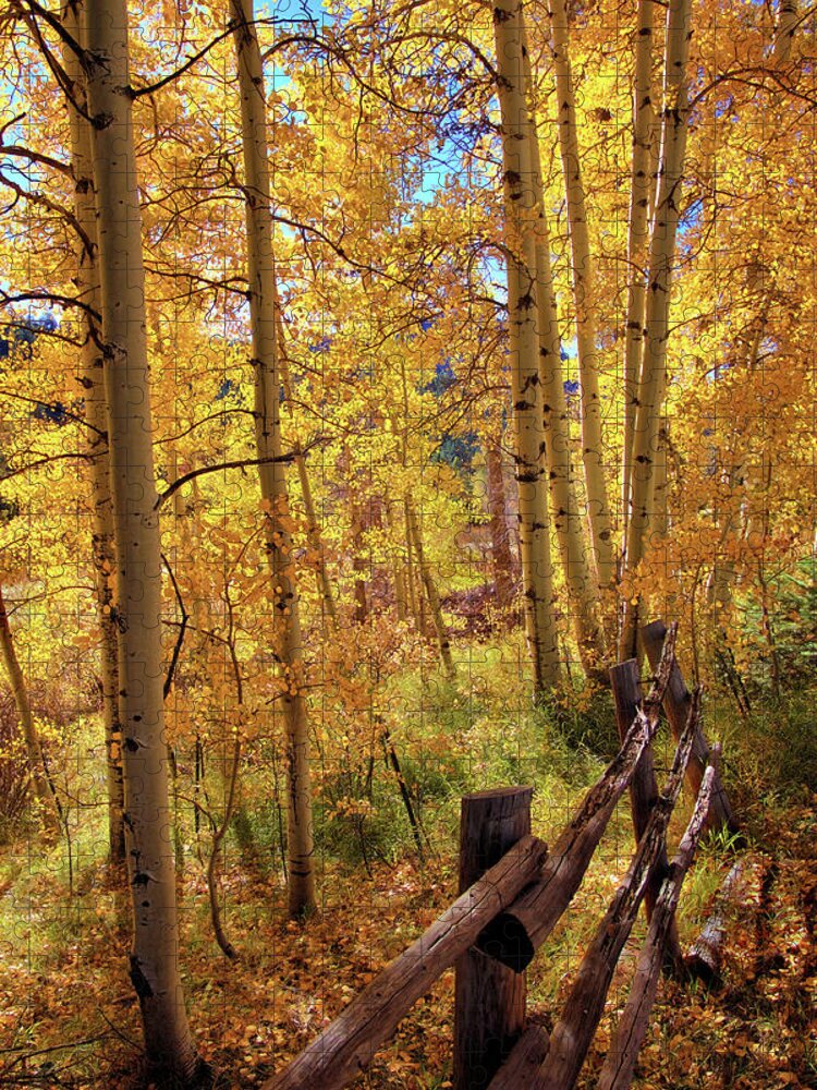 Colorado Jigsaw Puzzle featuring the photograph Fall colors #1 by Bob Falcone