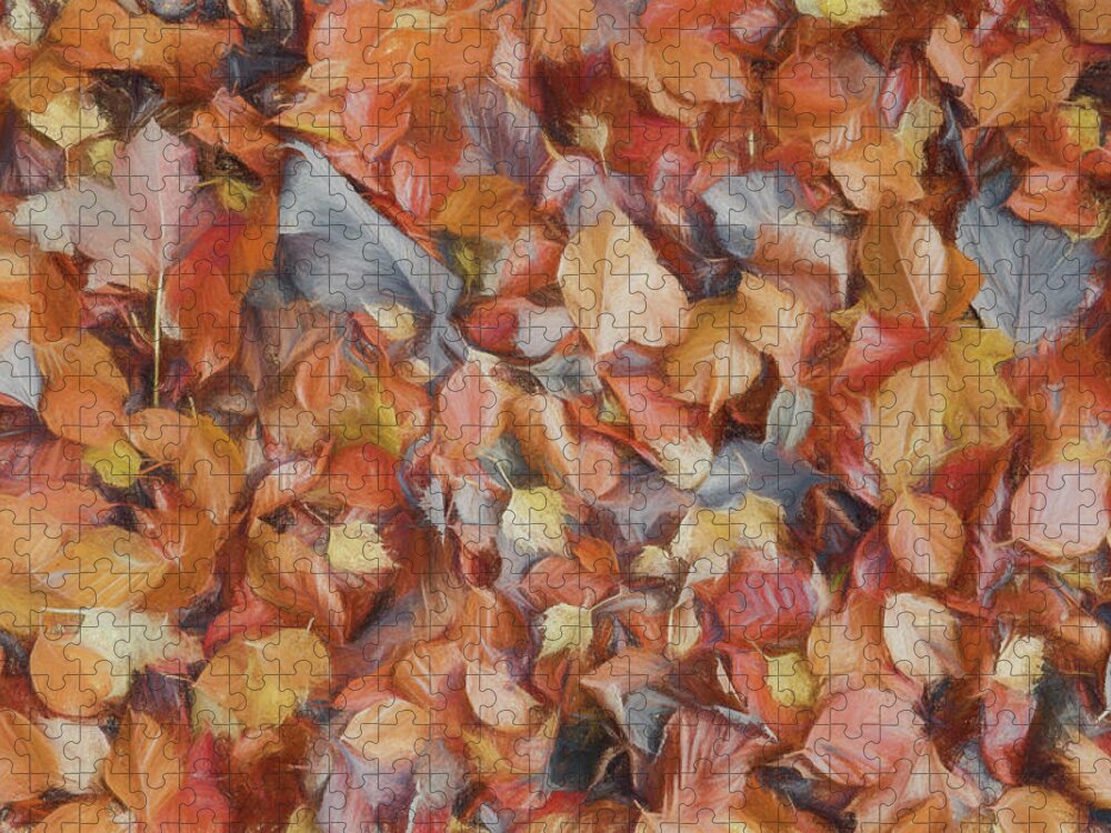  Jigsaw Puzzle featuring the photograph Fallen Leaves 2 #1 by Roy Pedersen
