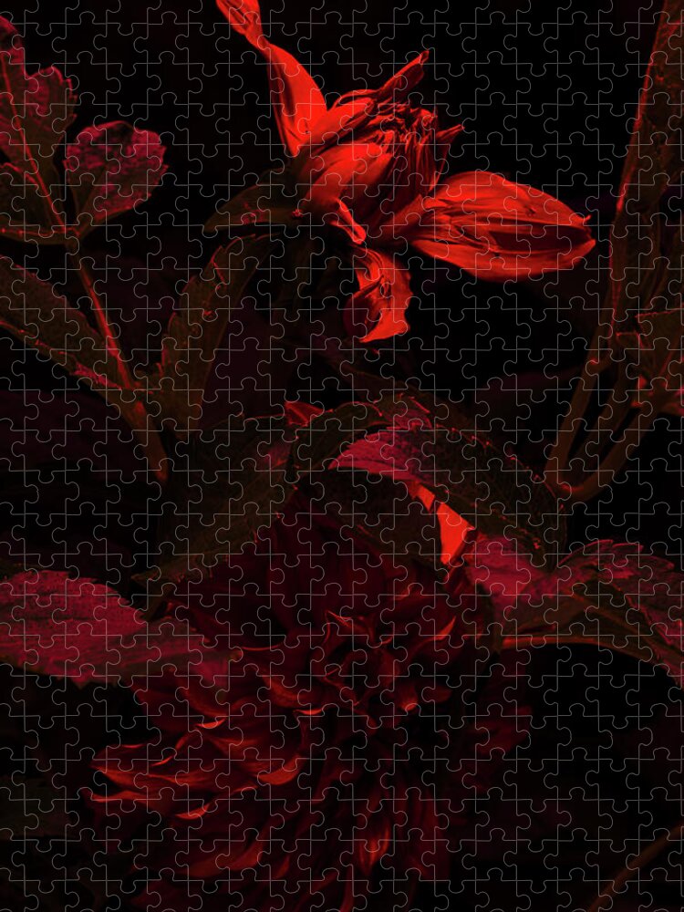 Red Jigsaw Puzzle featuring the photograph Falling Slowly Into Red by Cynthia Dickinson