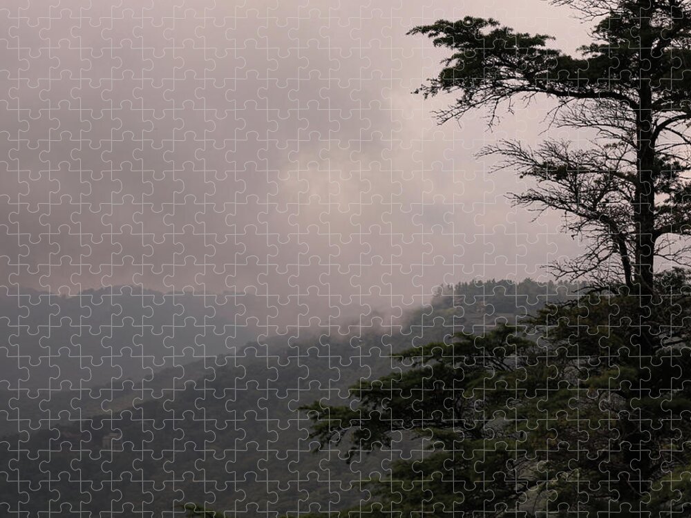 The Blowing Rock Jigsaw Puzzle featuring the photograph Foggy Morning #2 by Karen Ruhl