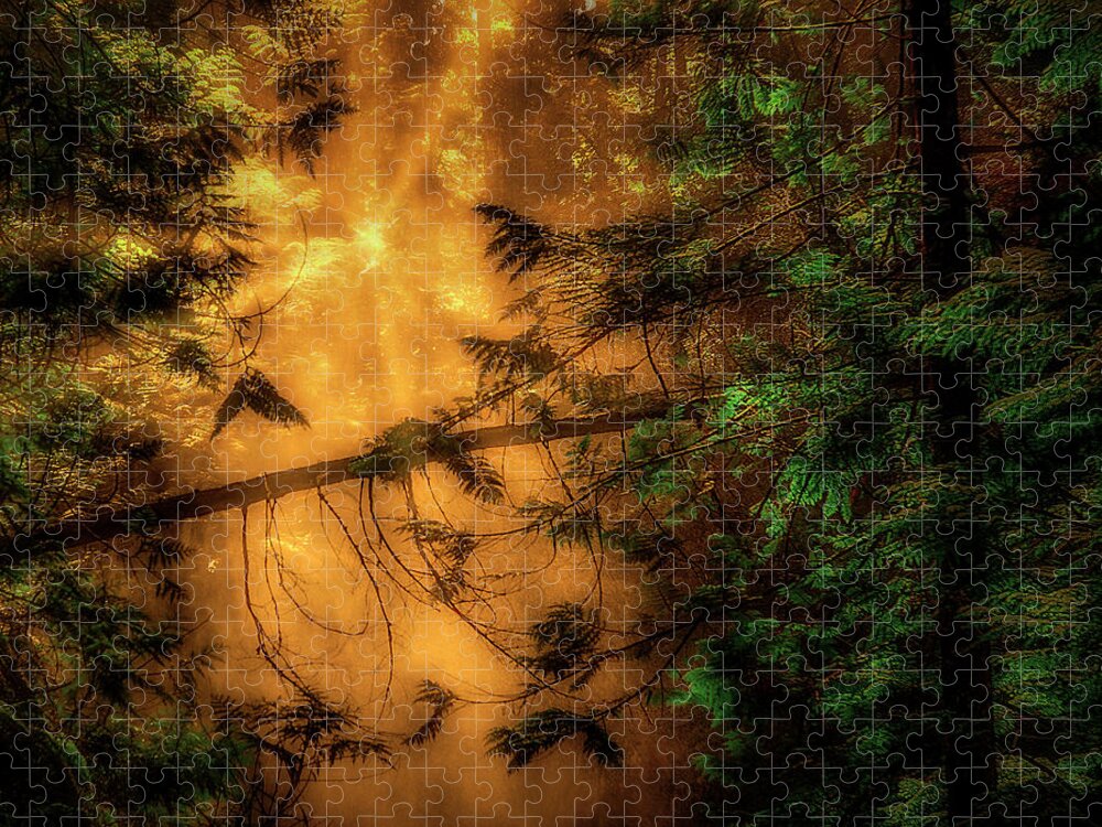 Forest Jigsaw Puzzle featuring the photograph Forest Mist #1 by Dan Eskelson