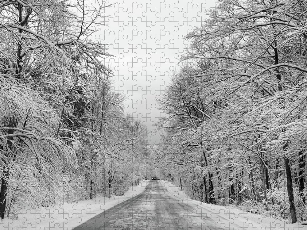 Back Road Jigsaw Puzzle featuring the photograph Traveling Through the Fresh Snow by David T Wilkinson
