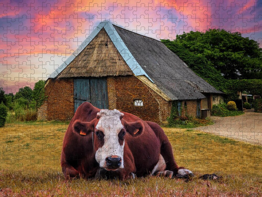 Animals Jigsaw Puzzle featuring the photograph How Now Brown Cow #1 by Debra and Dave Vanderlaan