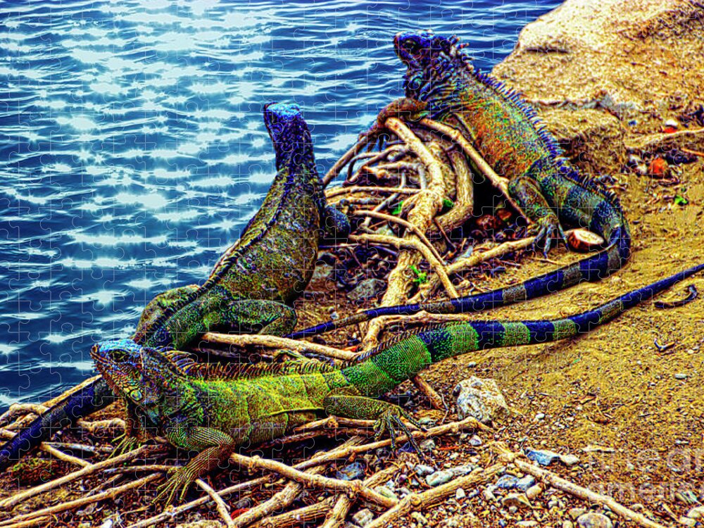 2215 Jigsaw Puzzle featuring the photograph Iguanas In Montanita, Ecuador II #1 by Al Bourassa