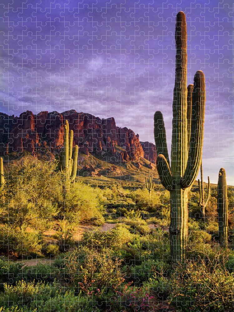 Sunset Jigsaw Puzzle featuring the photograph In The Desert Golden Hour #1 by Saija Lehtonen