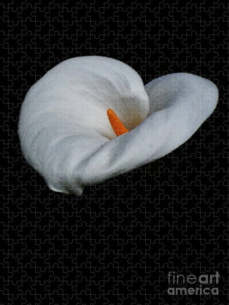 Lily Jigsaw Puzzle featuring the photograph Lily #1 by Jimmy Chuck Smith